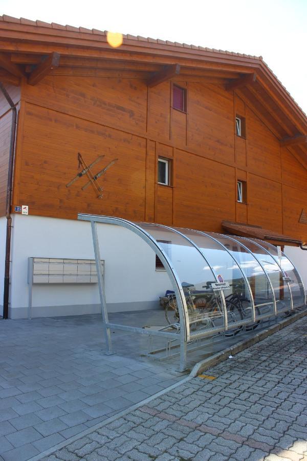 Moench Apartment - Aare Jungfrau Ag Wilderswil Kültér fotó